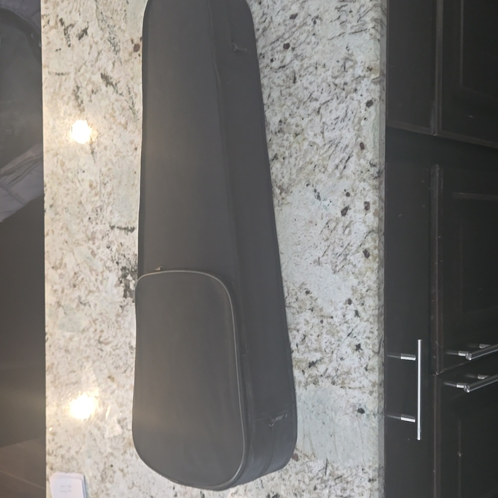 Violin Case Black Lightweight Size 4/4 - Picture 1 of 6